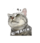 ネコネコの日常（個別スタンプ：13）