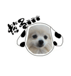 ウチのくっちゃも（個別スタンプ：3）