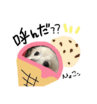 ウチのくっちゃも（個別スタンプ：8）