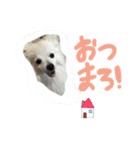 ウチのくっちゃも（個別スタンプ：16）