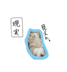 ウチのくっちゃも（個別スタンプ：17）