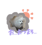 ウチのくっちゃも（個別スタンプ：19）