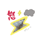 ウチのくっちゃも（個別スタンプ：26）