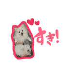 ウチのくっちゃも（個別スタンプ：27）