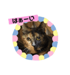 NEO♡NARAスタンプ（個別スタンプ：17）