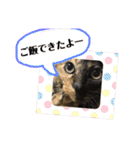 NEO♡NARAスタンプ（個別スタンプ：40）