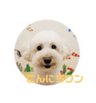チョビす（個別スタンプ：2）