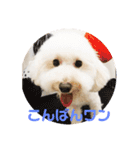 チョビす（個別スタンプ：3）