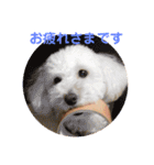 チョビす（個別スタンプ：9）