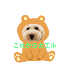チョビす（個別スタンプ：16）