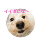 チョビす（個別スタンプ：19）