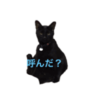 こまくろスタンプ（個別スタンプ：6）