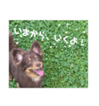 相棒たち(アル、テト、ミト、ユパ、キキ)（個別スタンプ：5）