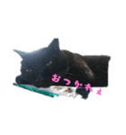 大和くんの1日（個別スタンプ：11）