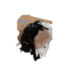 大和くんの1日（個別スタンプ：16）