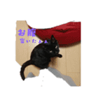大和くんの1日（個別スタンプ：24）