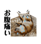 柴犬タロー7 体調不良編（個別スタンプ：2）
