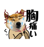 柴犬タロー7 体調不良編（個別スタンプ：3）