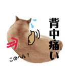 柴犬タロー7 体調不良編（個別スタンプ：6）