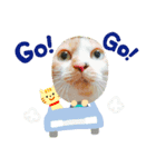 猫達の気持ち（個別スタンプ：5）