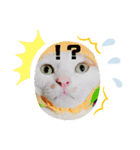 猫達の気持ち（個別スタンプ：7）