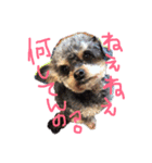 小梅ちゃんだパート2（個別スタンプ：3）