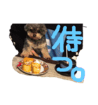 小梅ちゃんだパート2（個別スタンプ：11）