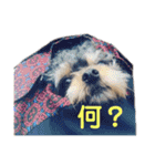 小梅ちゃんだパート2（個別スタンプ：15）