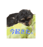 小梅ちゃんだパート2（個別スタンプ：17）