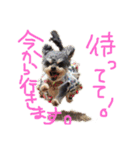 小梅ちゃんだパート2（個別スタンプ：18）