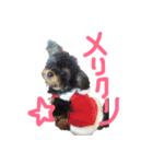 小梅ちゃんだパート2（個別スタンプ：21）