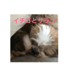 イチゴと家族たち（個別スタンプ：2）