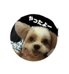 イチゴと家族たち（個別スタンプ：7）