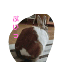 う～ちゃんです（個別スタンプ：6）
