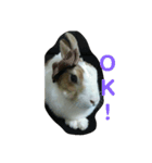 う～ちゃんです（個別スタンプ：8）