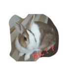 う～ちゃんです（個別スタンプ：14）