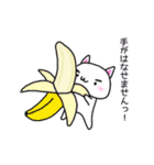 *しろいネコ*（個別スタンプ：13）