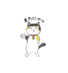 三毛猫タラゴン（個別スタンプ：2）
