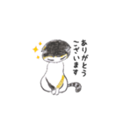 三毛猫タラゴン（個別スタンプ：4）