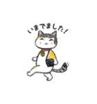 三毛猫タラゴン（個別スタンプ：8）