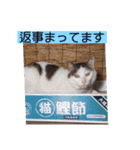 あっきんの猫 part 1     (吹き出し)（個別スタンプ：4）