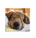 れおらむ（個別スタンプ：15）