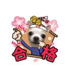 クーちゃん・ビジネス編＆学生編＆王子様編（個別スタンプ：15）