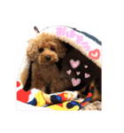 レオンの日常♡（個別スタンプ：1）