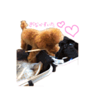 レオンの日常♡（個別スタンプ：3）