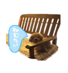 レオンの日常♡（個別スタンプ：4）