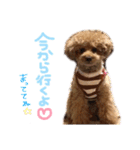 レオンの日常♡（個別スタンプ：5）