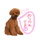 レオンの日常♡（個別スタンプ：8）