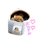 レオンの日常♡（個別スタンプ：14）