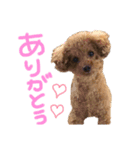 レオンの日常♡（個別スタンプ：16）